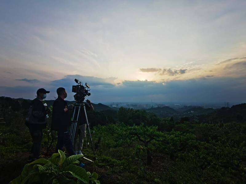 聚焦左云县产品宣传视频拍摄公司，用专业实力铸就品牌传播传奇