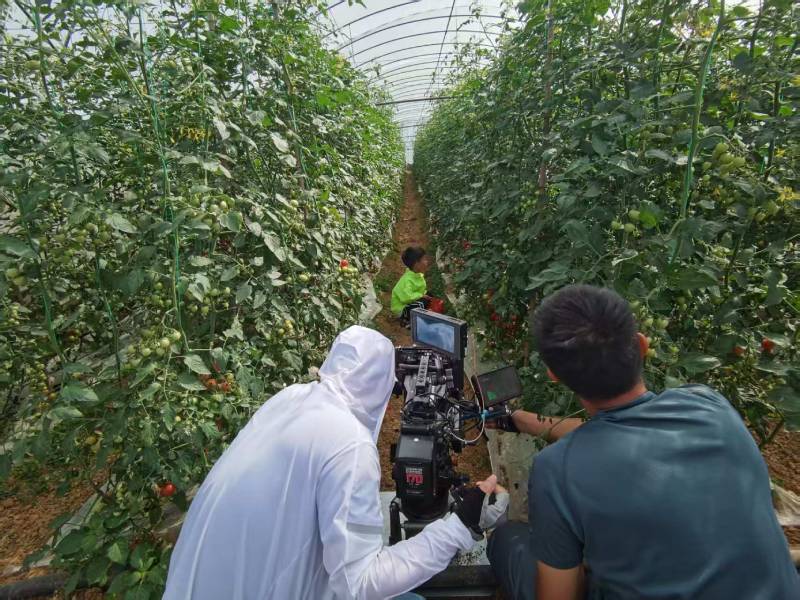 左云县产品宣传视频拍摄公司进阶指南，助力品牌抢占传播高地